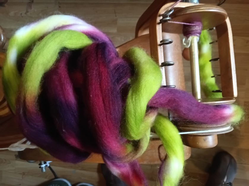 Top-down vie4w of an acid green and dark wine top, rolled loosely and set on a spinning wheel. There is a small amount of spun yarn on the spinning wheel bobbin.