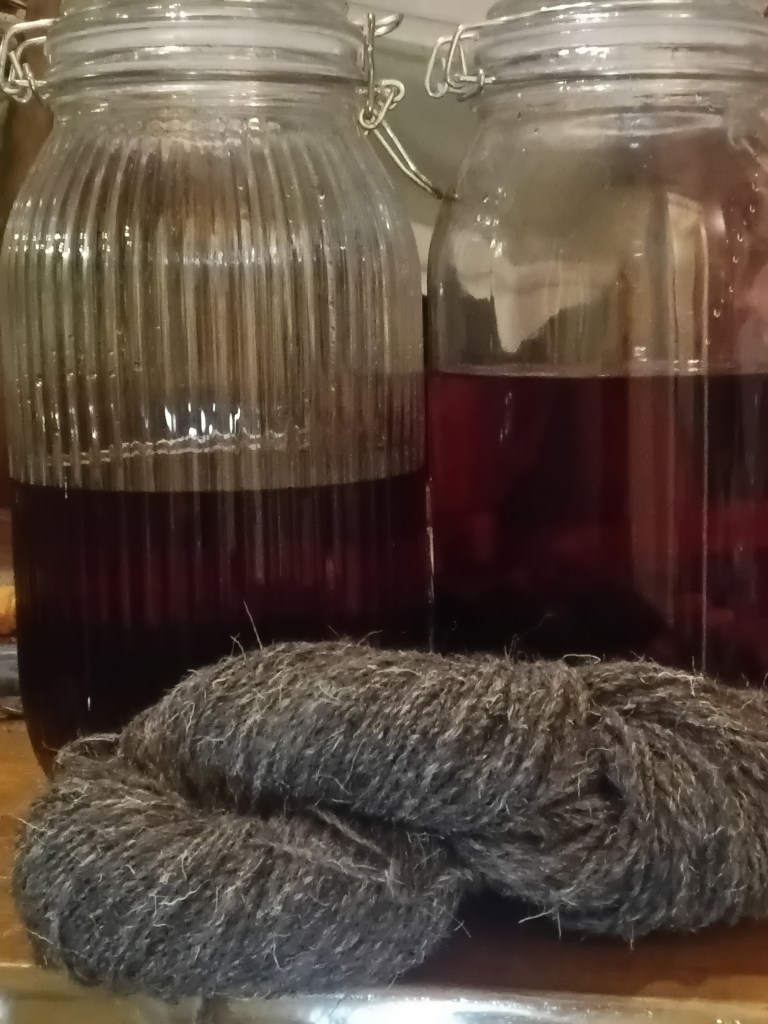 In the background, 2 Mason jars containing (1) whiskey and (2) vodka, both with added blackcurrants and sugar Foreground: a skein of natural grey Herdwick yarn.